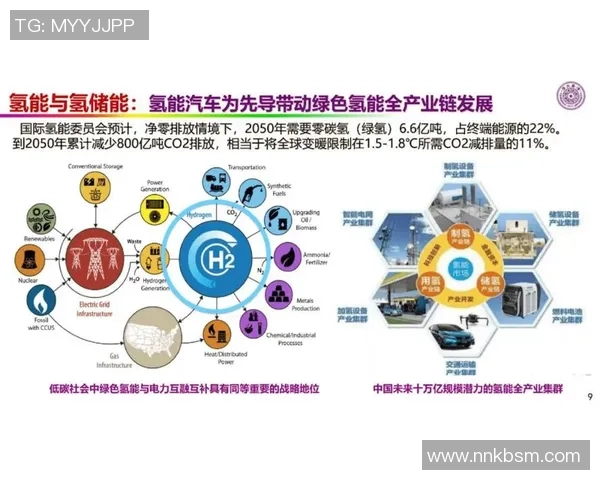 杭州乒乓球队战术解析与发展策略的深度探讨与展望